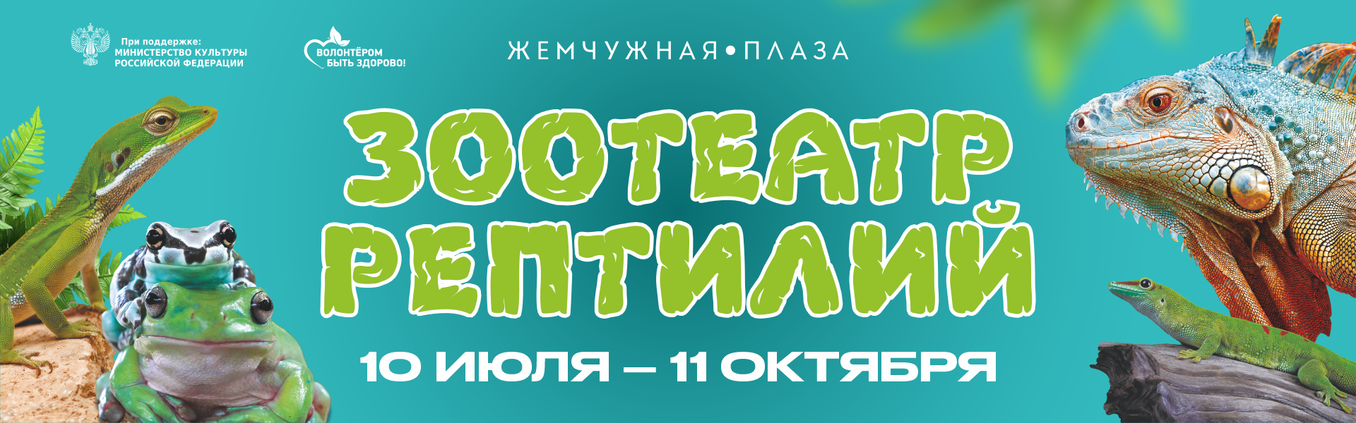 Баннер